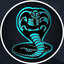 Team_Cobra