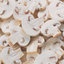 Champinions