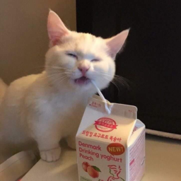Strawberry Ice