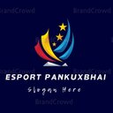 ✨ ESPORT PANKUxBHAI 🏆