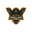 Black Eagles Esports