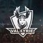 Valkyrie e-Sports