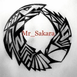 mr_sakara