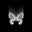 Butterfly DCA