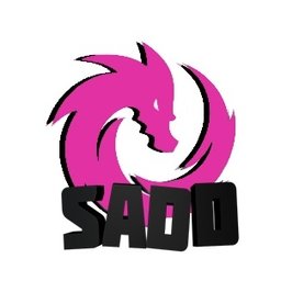 SADD_PavluhaTasher228