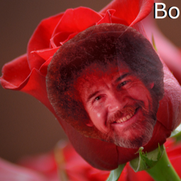 .Panda.#