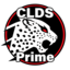 Clouded Leopards Prime