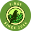 T-NST