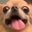 Hoofson