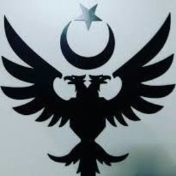 Cidnoz