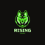 Rising Gaming Team 8 (was deleted at: 2022-10-23T10:35:22.9035715Z)