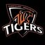 AUC TIGERS Main