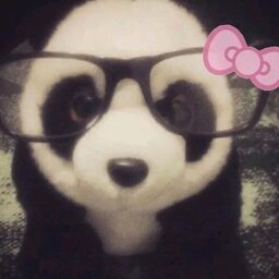 naomi panda uwu