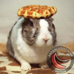 waffelkaninchen