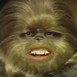jewbacca123