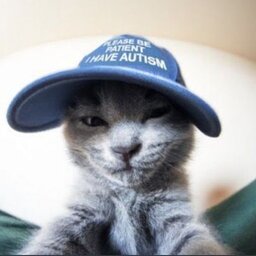 anikordeuSSSSSSSSSSSSSSSSSSS