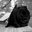 BLACK ROSES - BR