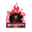 5L FIRE