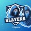 Slayers E-sports (was deleted at: 2024-01-12T16:25:31.2469690Z)