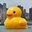 Duck Loverss (was deleted at: 2025-07-26T11:47:41.4070022Z)