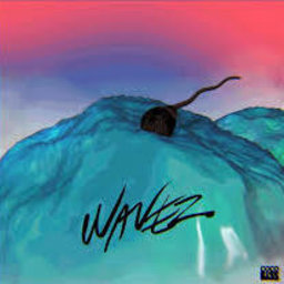 Wavezz-