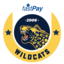 İstanbul Wildcats (was deleted at: 2022-12-21T07:20:49.7524676Z)
