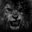 LIONHE4RT