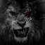 LIONHE4RT