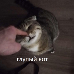 SPplayer ( premier demon )