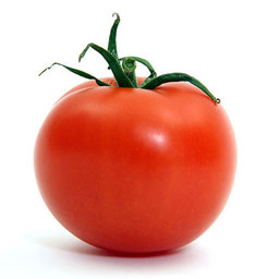 Tomat0
