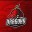 TEAM DRAGONSS