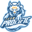 TEAM PROLIFIC