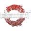 Element Stray Dogs (was deleted at: 2022-06-13T09:19:58.7384694Z)