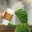 The Muppets