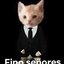 Hide0nFinøs