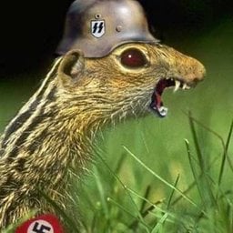 Horiwtzerr