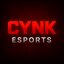 CYNK ESPORTS