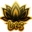 LOTUS TEAM