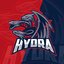 HydraGaming☁️