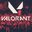 Valorant The Game
