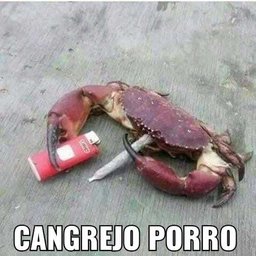 nepomucemo