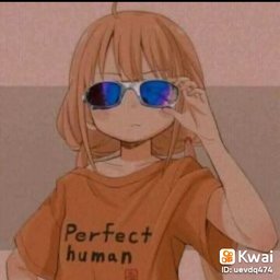 Rosangela Seni Pereira Soares