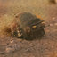 GoldRevenge (was deleted at: 2019-07-29T11:36:05.0352891Z)