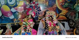 Yuvraj Singh's official