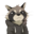 T0du