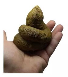 Renamodcu