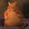 gato de bordas