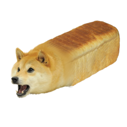 CosmicBurrito