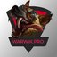 WARWIK PRO