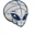 Pararasusu